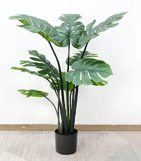 龟背