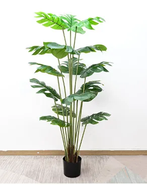 硬杆龟背