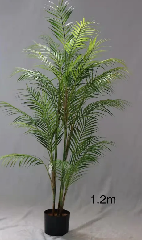 棕榈树