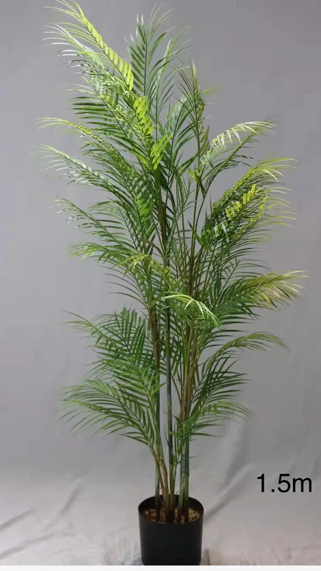 棕榈树