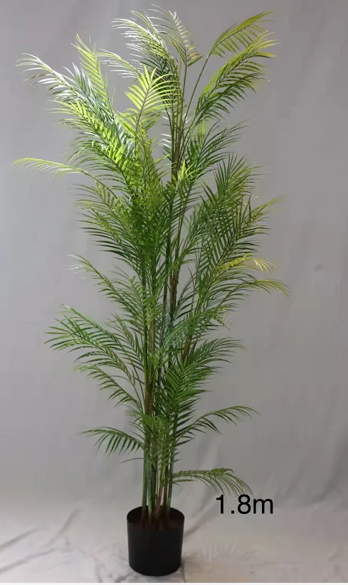 棕榈树