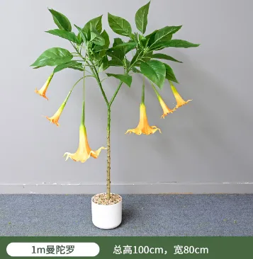 单杆曼陀罗