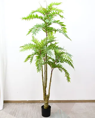 香椿树