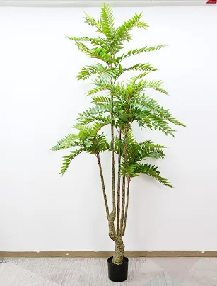 香椿树