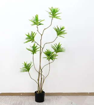异形百合竹