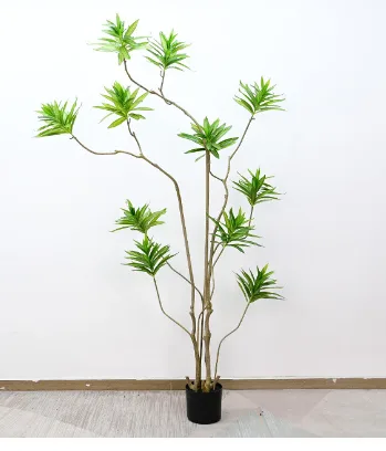异形百合竹