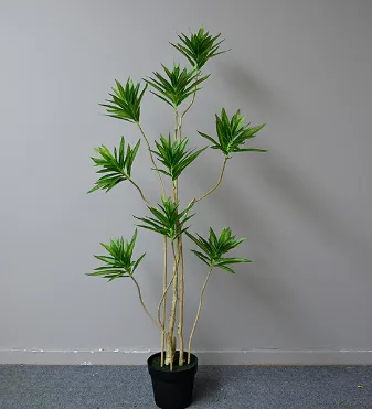 精简版百合竹
