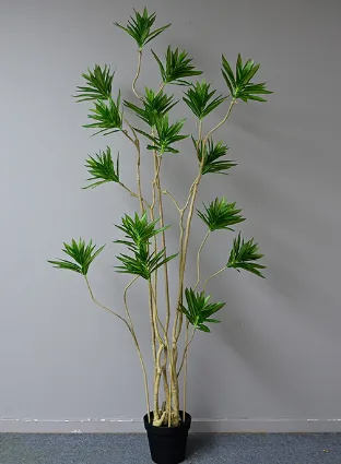 精简版百合竹