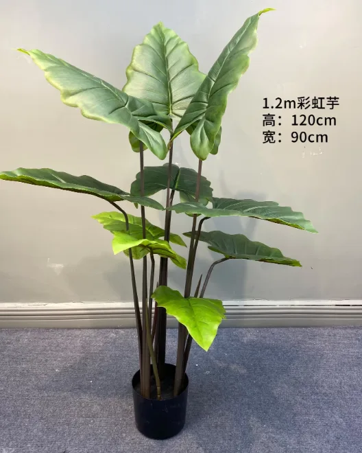彩虹芋