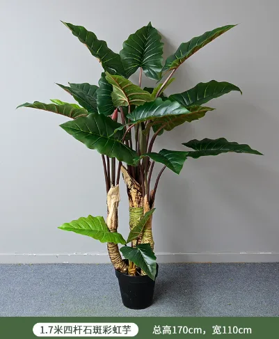 石斑彩虹芋