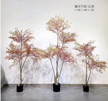 南天竹