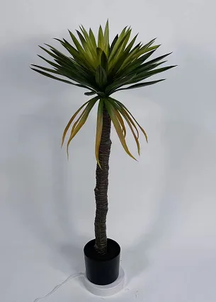 大剑麻