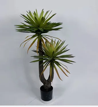大剑麻