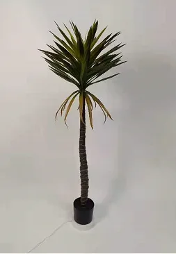 大剑麻