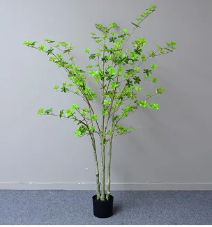 胶片吊钟树