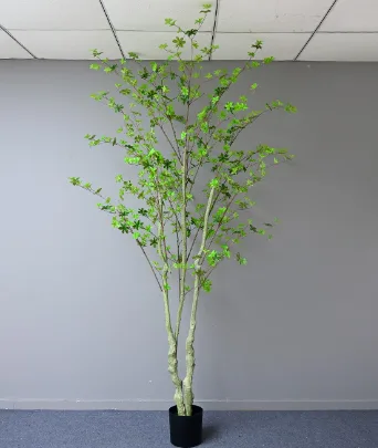 胶片吊钟树