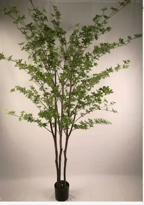 吊钟树