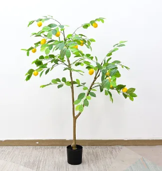 柠檬树