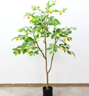 柠檬树
