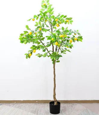 柠檬树