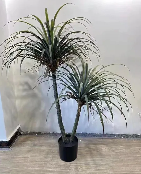 2杆加龙血树