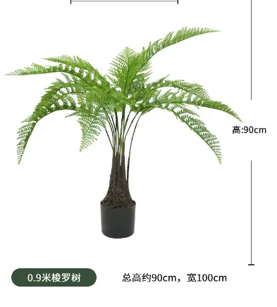 90cm梭罗树