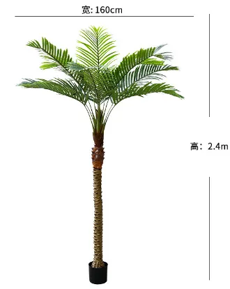 针葵