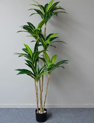 绿色巴西铁