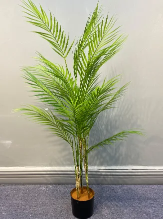 棕榈树
