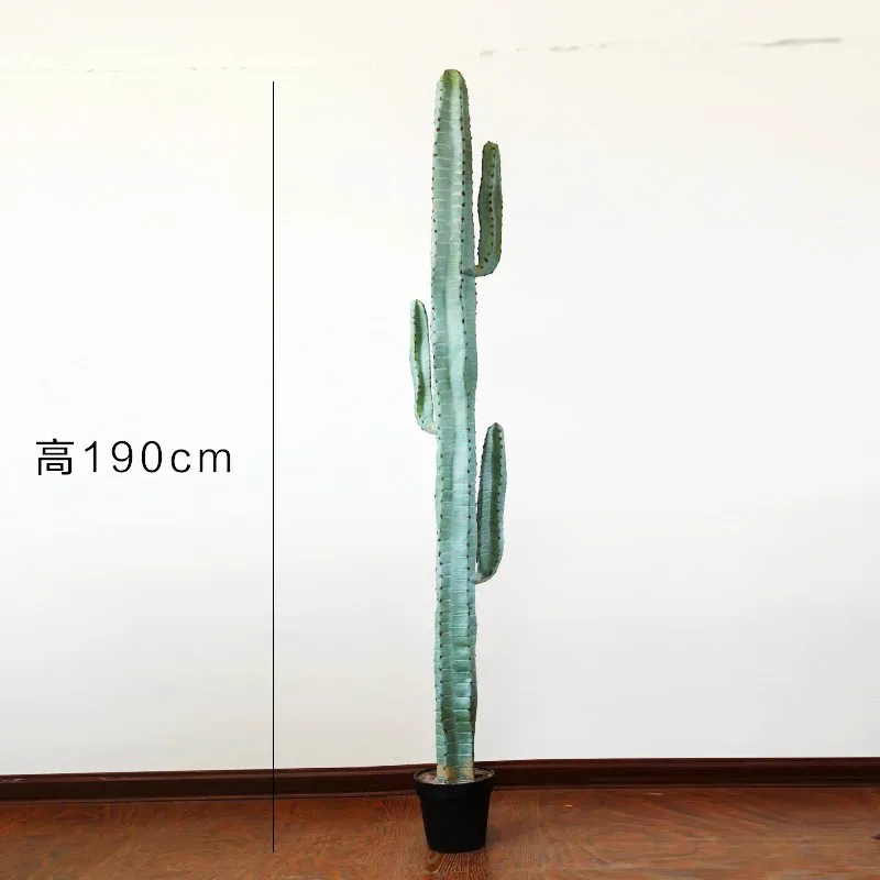 单干3手仙人掌