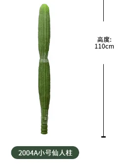 2004a小号仙人柱