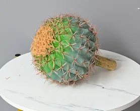 4D仙人球小号