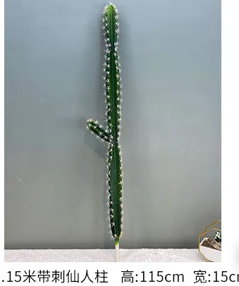 1.2m带刺仙人柱