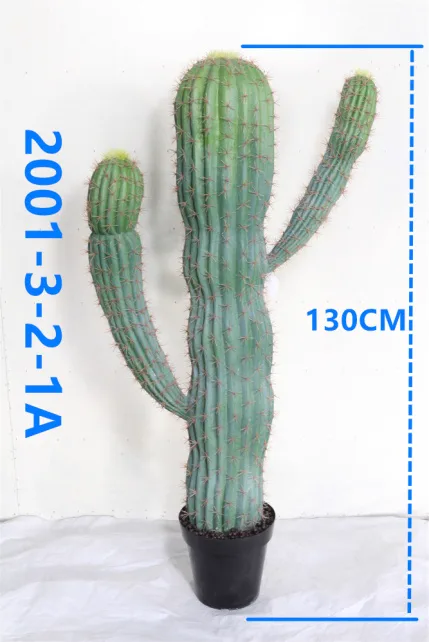 2001-3-2-1a