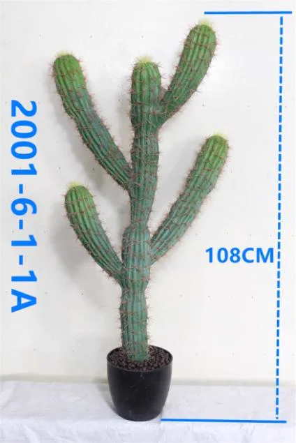 2001-6-1-1a
