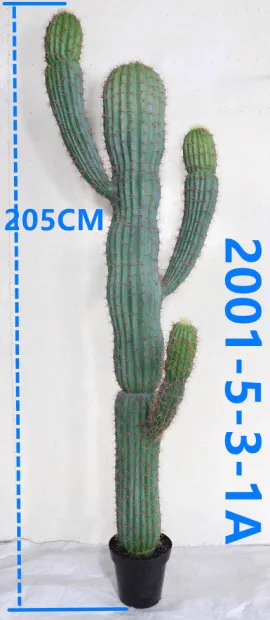 2001-5-3-1a